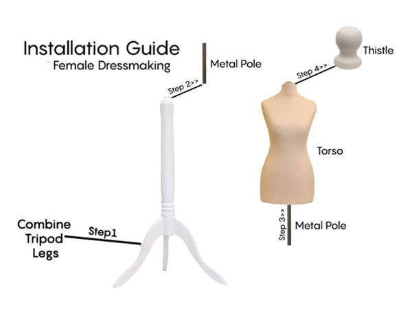 Display Guru Female Uk Size 12/14 Dressmakers Tailors Dummy Mannequin, Cream Torso Bust With White Wood Tripod Stand