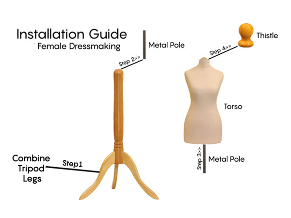 Display Guru Female Uk Size 8/10 Dressmakers Tailors Dummy Mannequin, Cream Torso Bust With LightWood Tripod Stand